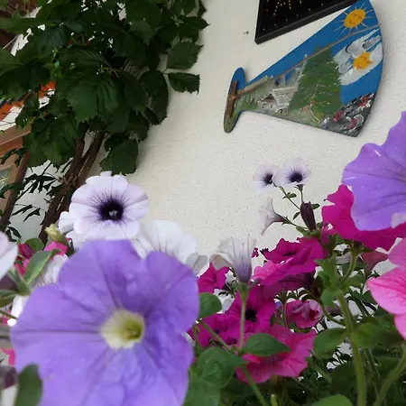 Affittacamere Pizzeria Marmolada Gæstehus *