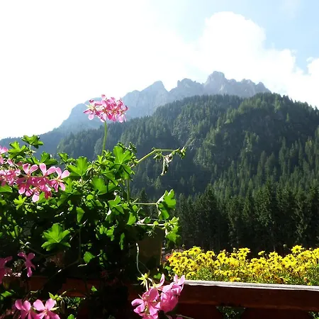 Affittacamere Pizzeria Marmolada